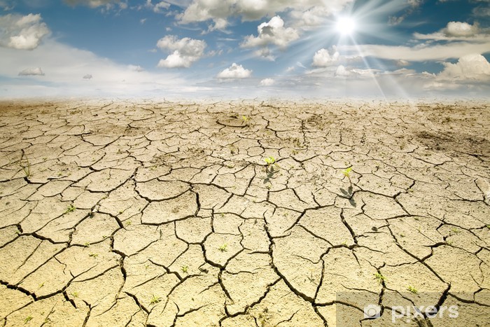 "Supprimez vos photos pour sauver la planète" ?